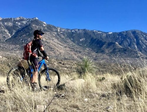 Great Tucson Road Biking: Sahuarita to Misson Road Loop Ride